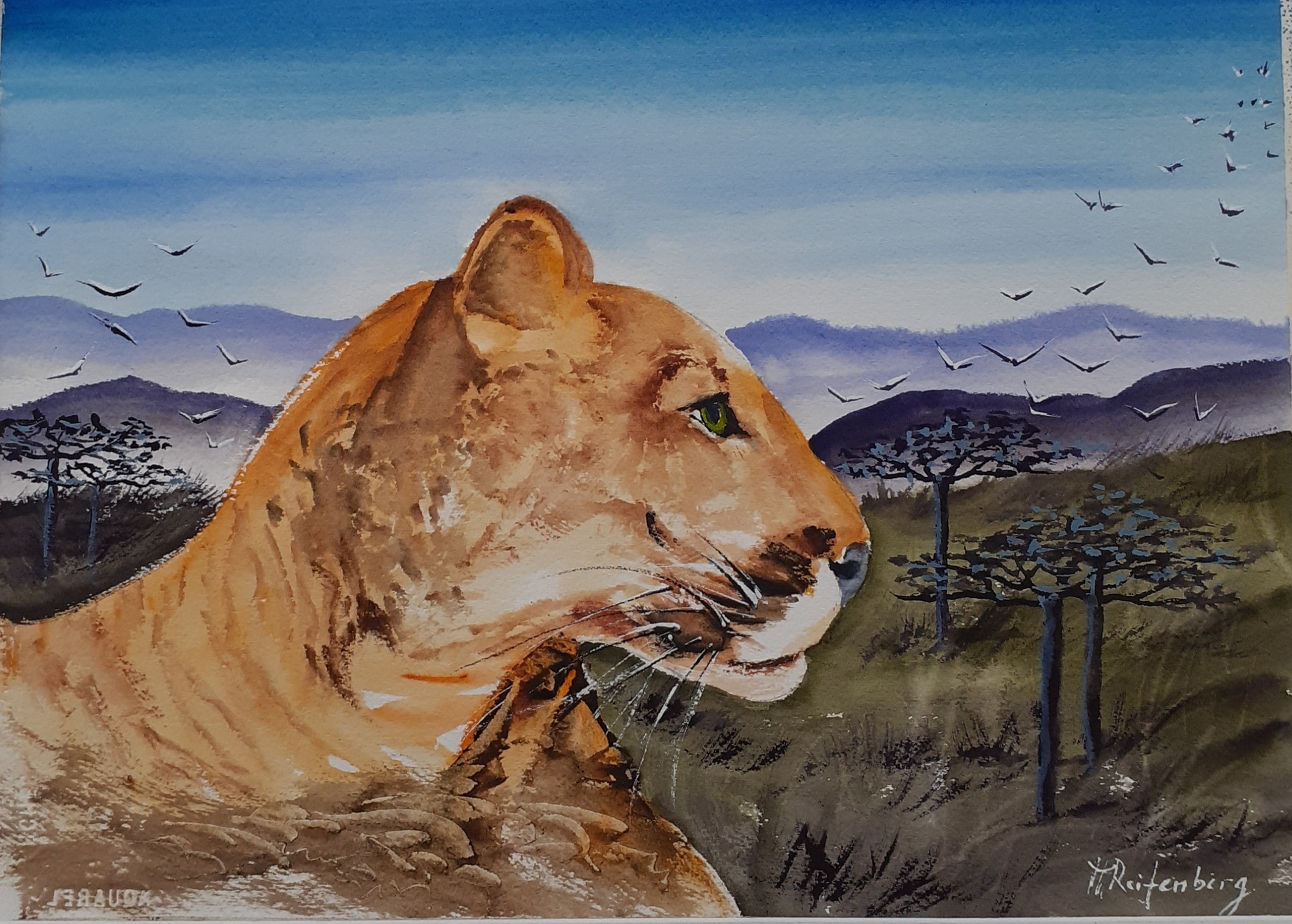 Sur une idée de C.Hendrickx Savane